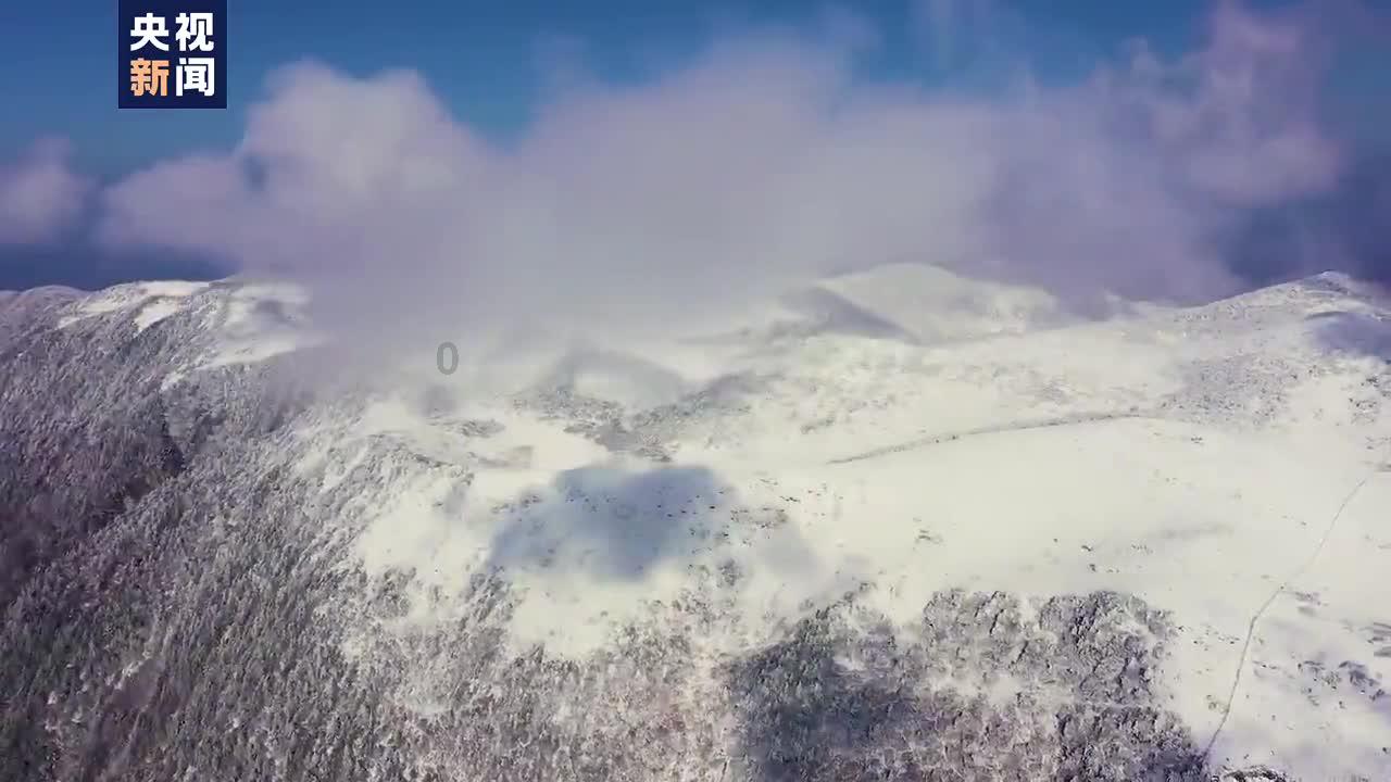 孤岛惊魂原始杀戮