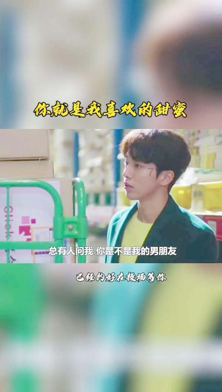 可爱猫咪救援