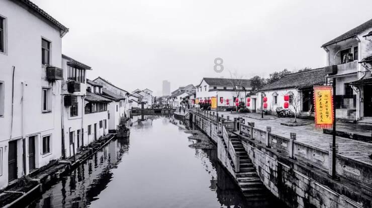 可爱的小孔雀救援
